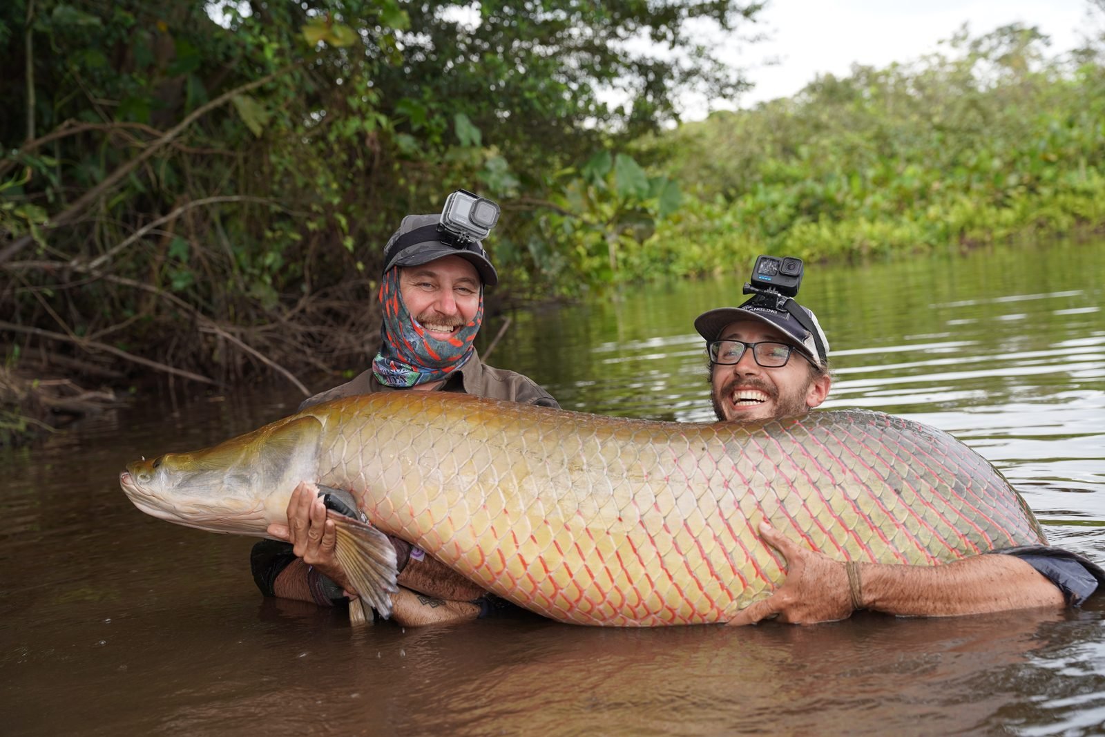 Arapaima catch