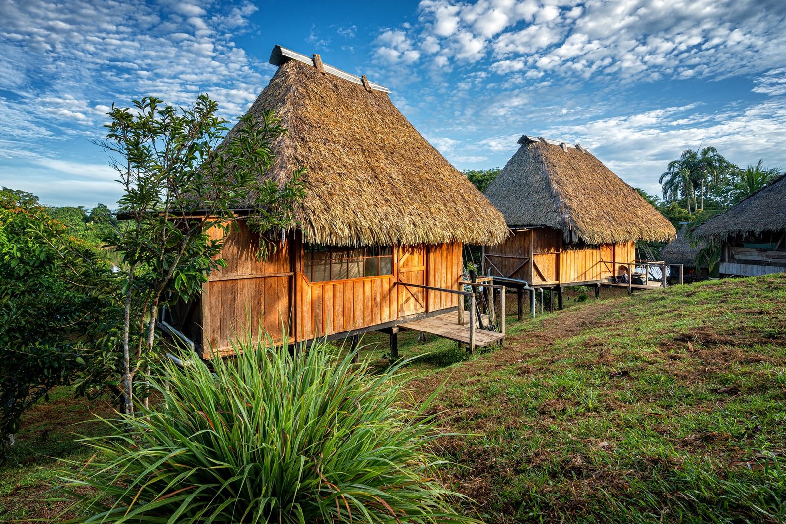 Thatched-roof cabins at the lodge