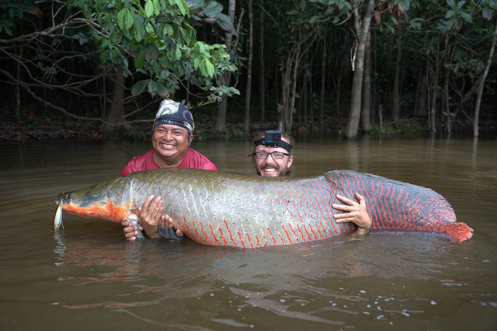 Guide and angler with a trophy Arapaima, lure still in its mouth