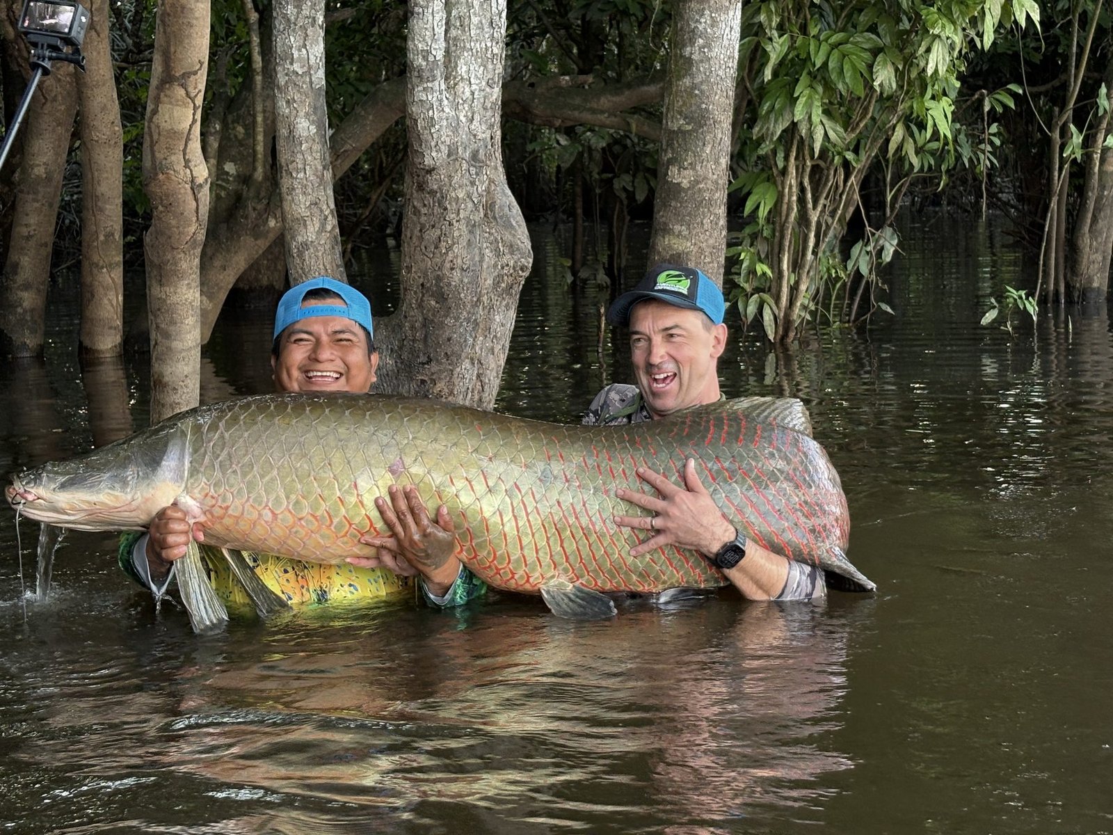 Guide and guest holding an Arapaima among flooded trees