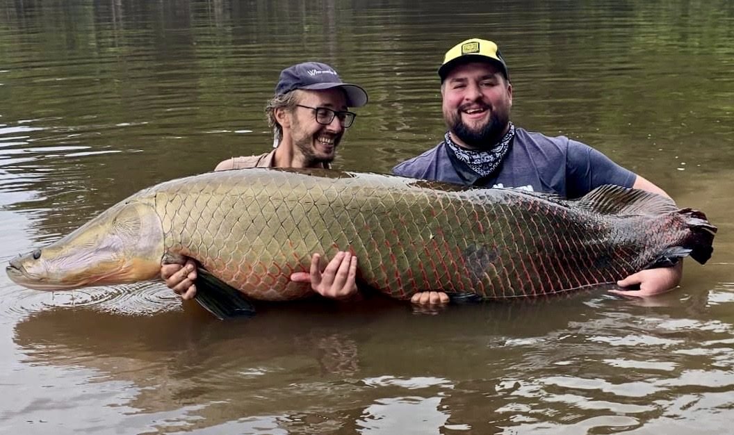 Two anglers with a long Arapaima in calm water