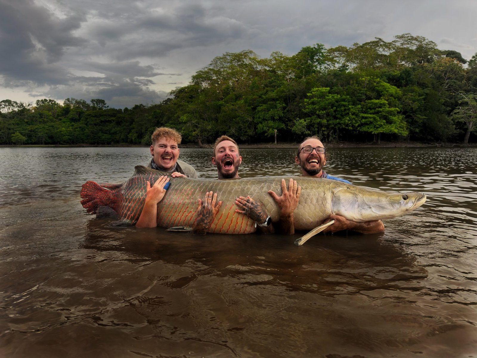 Three anglers with a giant Arapaima under a stormy sky
