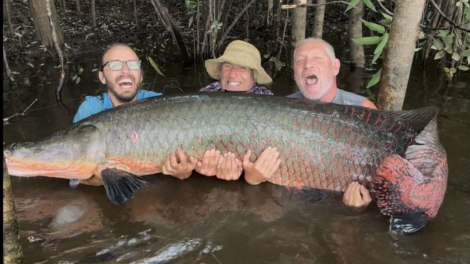 Trophy Arapaima held across a sunlit lagoon
