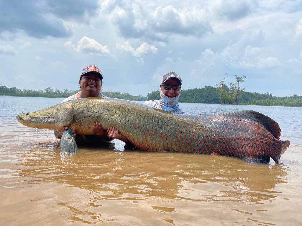 Arapaima splashing at the surface between anglers