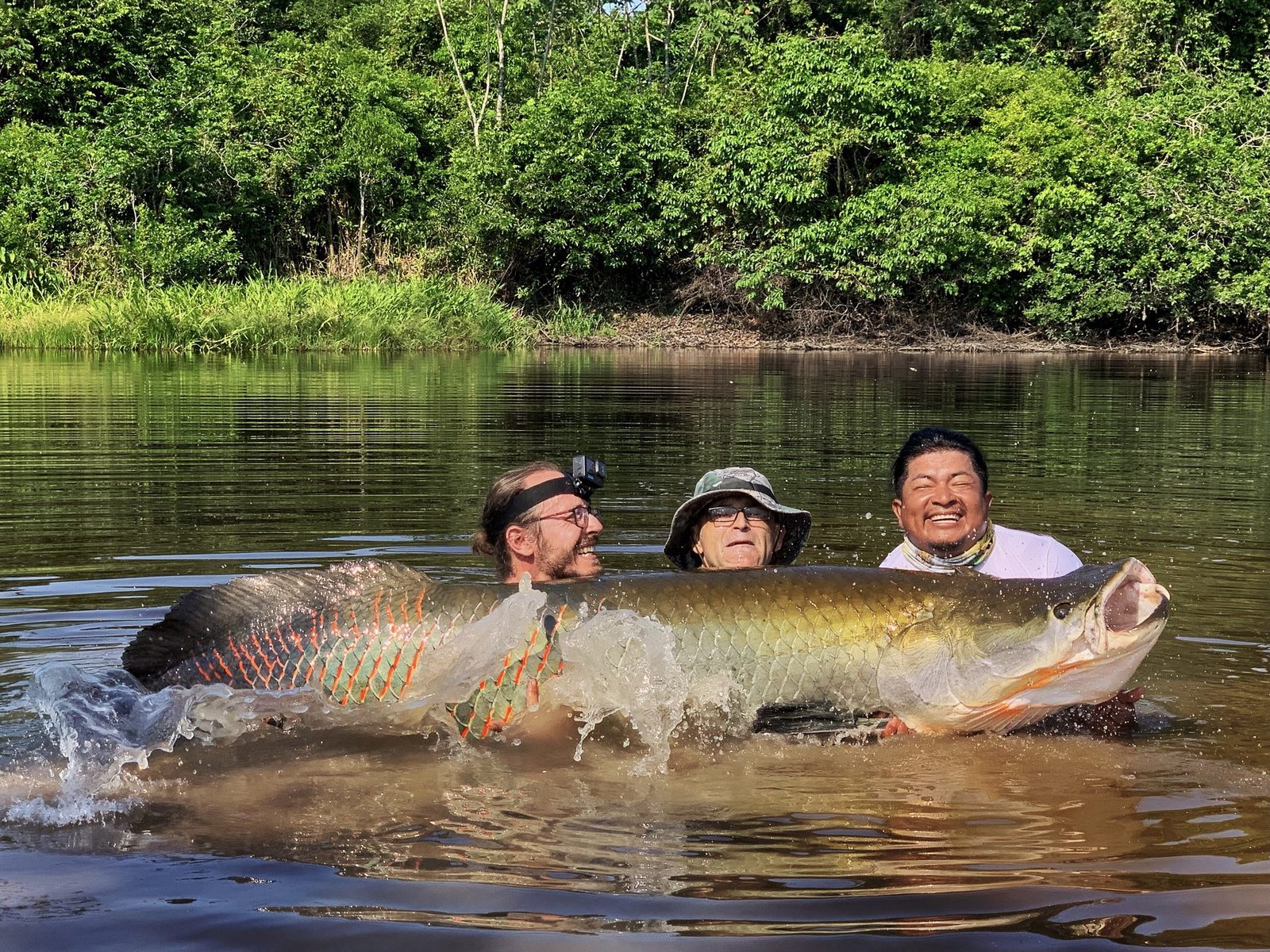 Three anglers with a trophy Arapaima in the flooded forest