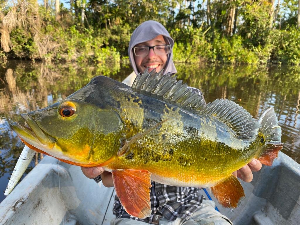 Angler with a peacock bass at golden hour