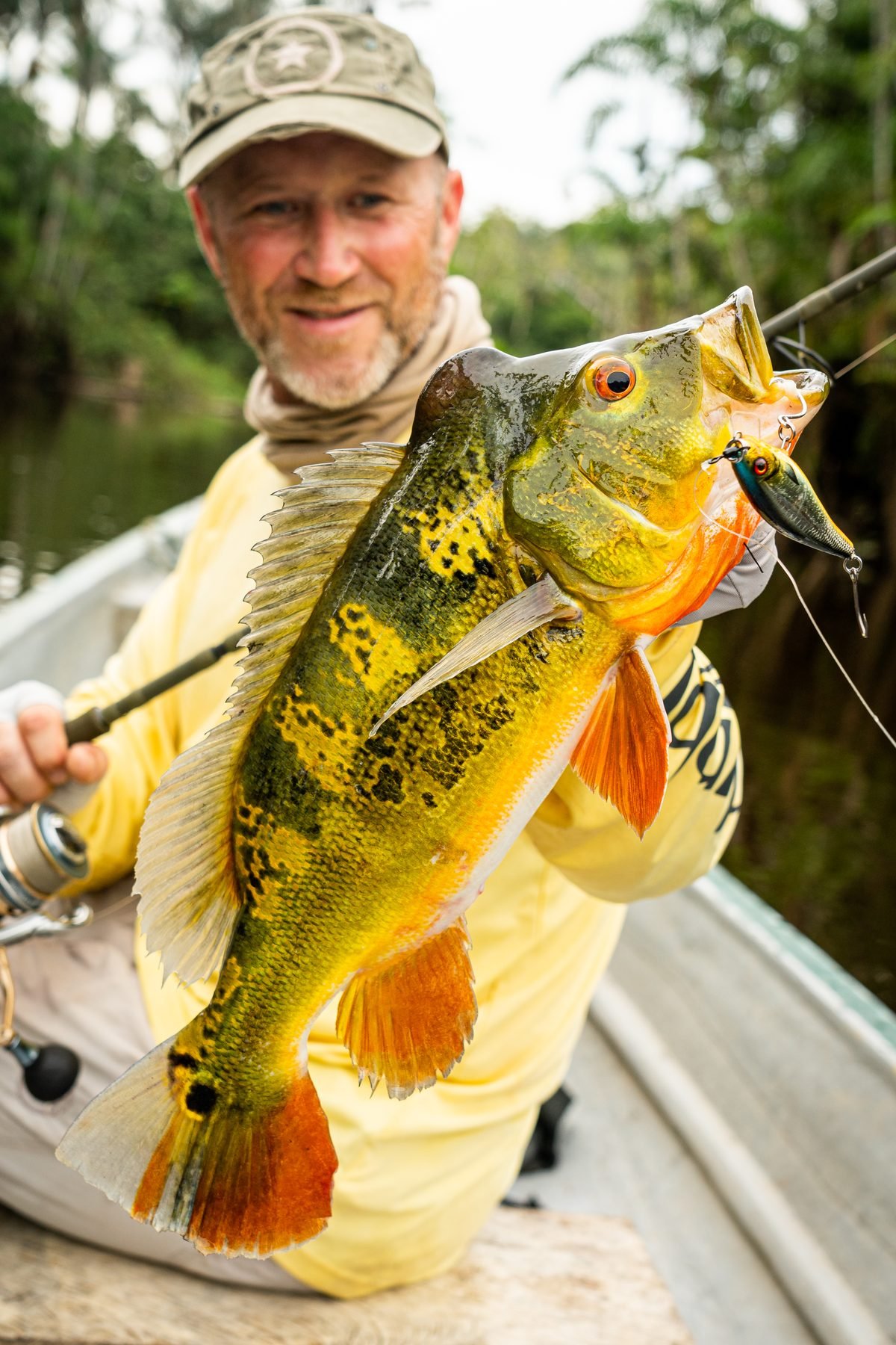 Angler holding a peacock bass caught on a lure